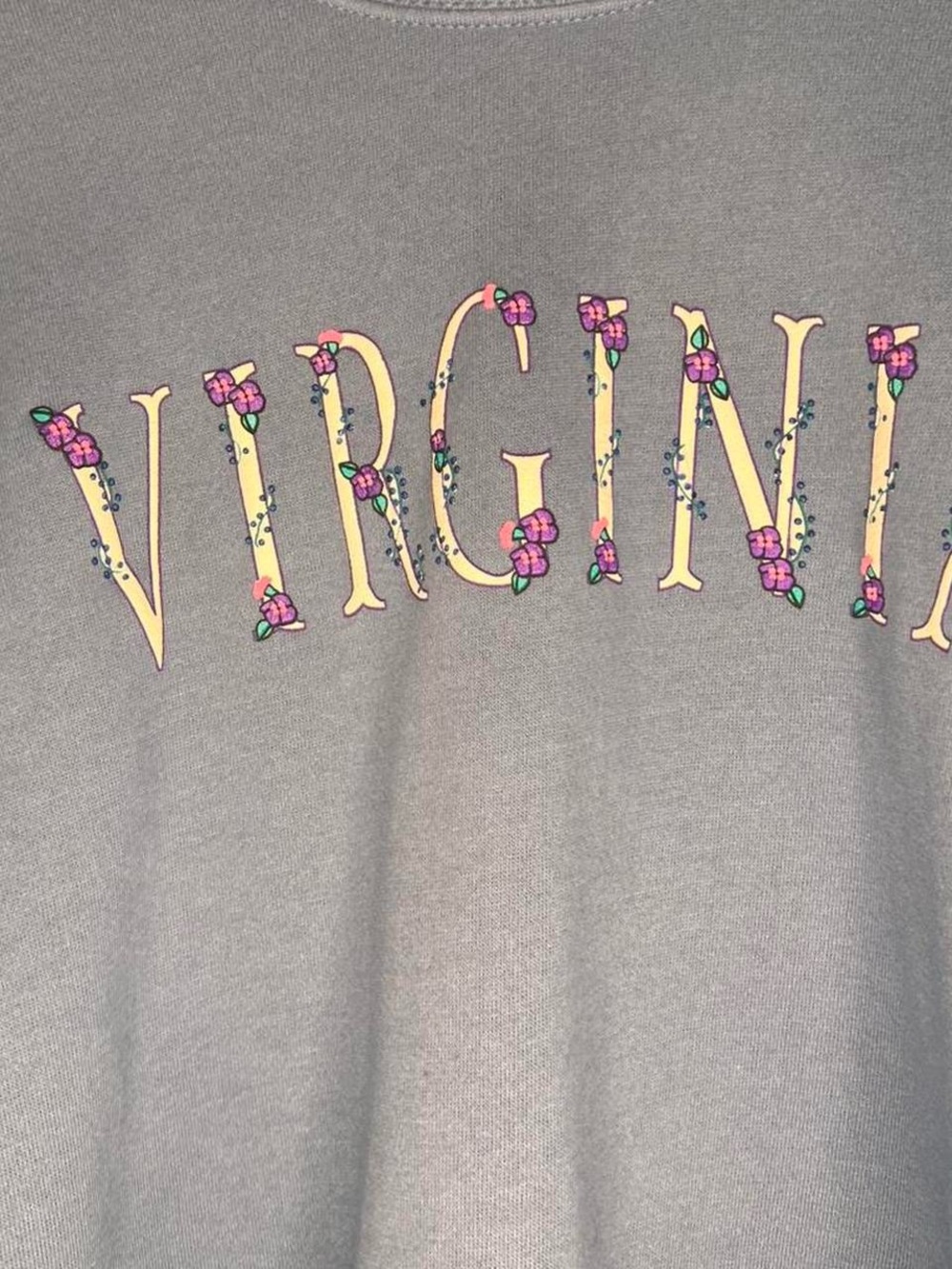Virginia Floral-Accent Crewneck Sweatshirt - Blue - Picture 4 of 6